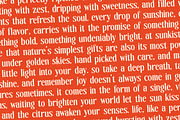 Sunkis Groovy Retro Display Font, a Serif Font by timelesstype.co (Thumbnail 14 of 20)