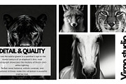 40 Animal Portraits – B&W Collection, an Animal Photo by Virgo Studio (Thumbnail 4 of 6)