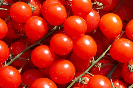 Red tomatoes, a Food & Drink Photo by Vapi