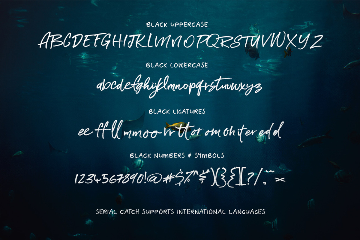 Serial Catch Font, a Script Font by Creativeqube Design (Photo 19 of 22)