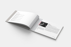 Brand Manual Portfolio