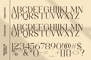 Movich Uniquely Serif Font