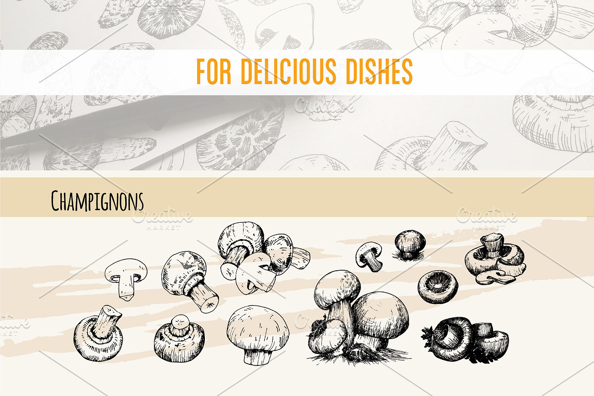 Mushrooms. Big set. 84 objects, a Decorative Illustration by Alena Kaz (Photo 5 of 8)