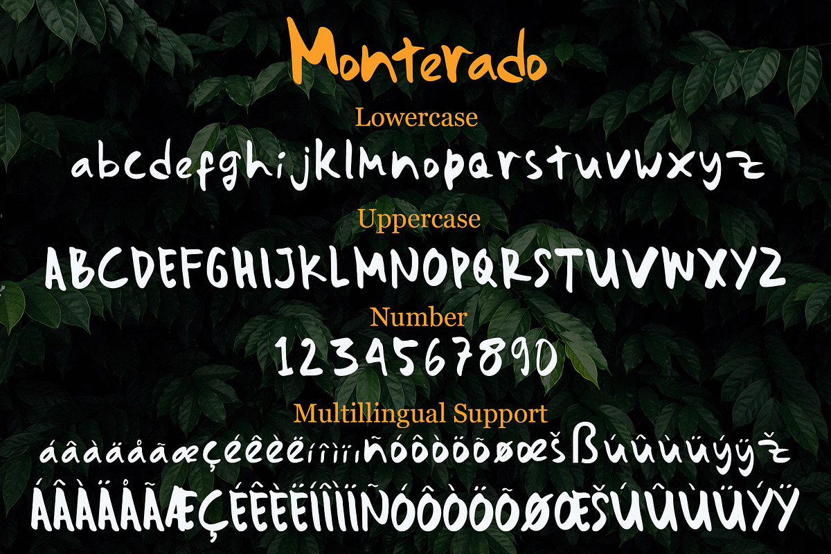 Monterado - Handwritten Brush Font, a Font by Wellscript Studio (Photo 7 of 7)
