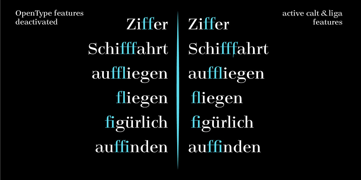 Legit Didone Head, a Serif Font by Finaltype (Photo 8 of 14)