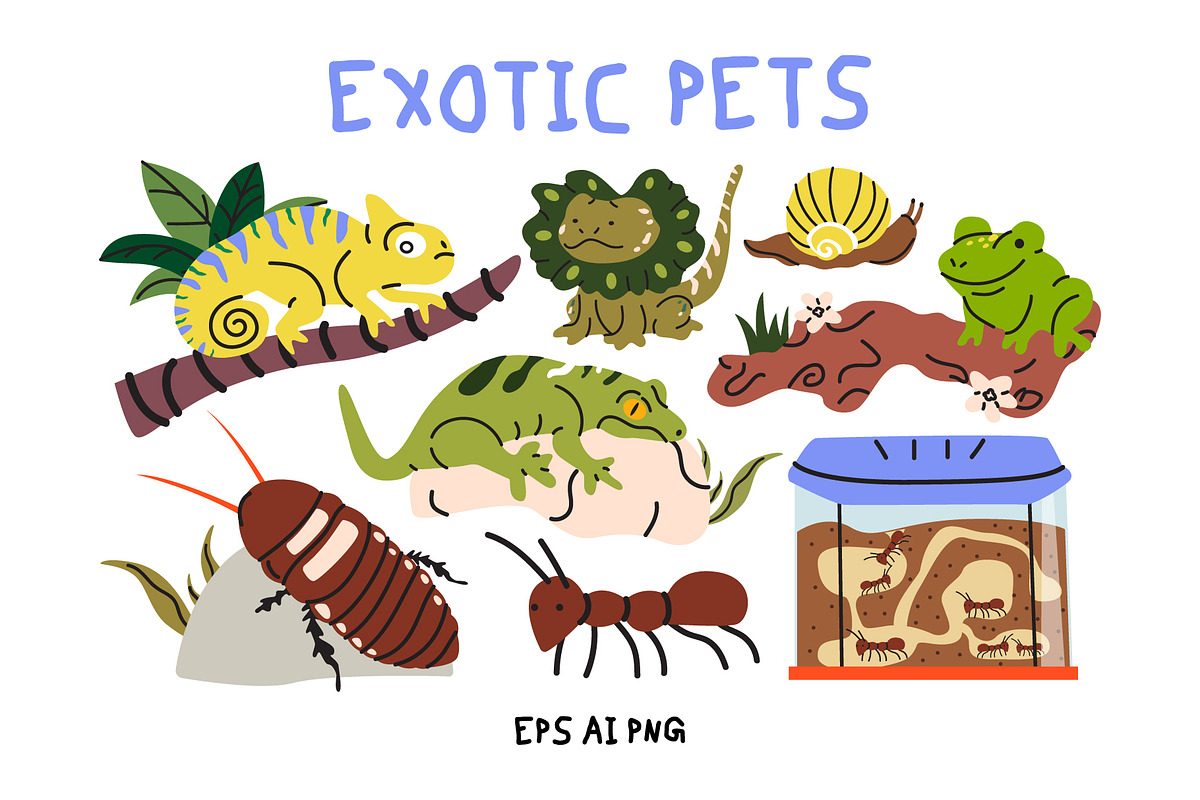Domestic Pets Vector Illustrations, an Animal Illustration by Luamor (Photo 5 of 10)