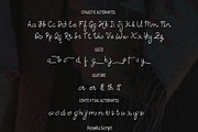 Morella, a Script Font by ViactionType (Thumbnail 8 of 12)