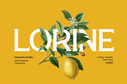 Lorine, a Serif Font by zeenesia (Thumbnail 1 of 14)