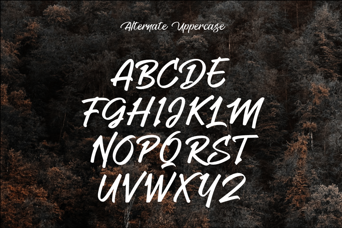 Delhus Fyione, a Script Font by Joko Setiono (Photo 8 of 12)