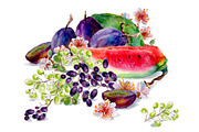 Set of watercolor fruits and flowers, a Food Illustration by DariKa (Thumbnail 3 of 4)