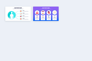 Anatomy Illustrator Template Slides