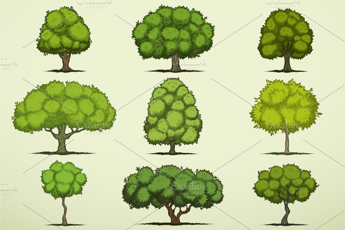 Cartoon deciduous trees, a Decorative Illustration by yuanden graphics (Photo 1 of 3)