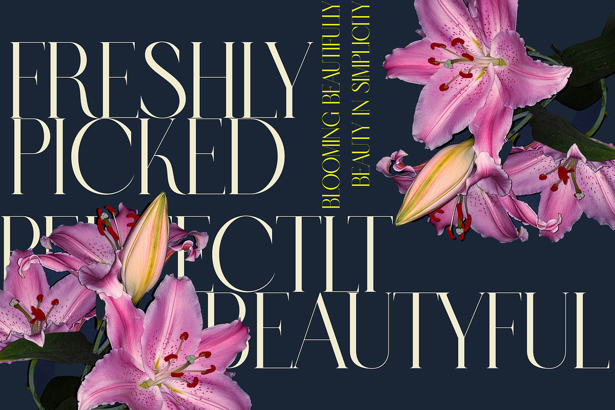 Galgen Modern Serif Font, a Serif Font by Alfinart (Photo 6 of 11)