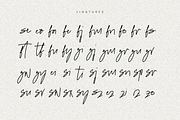 Figetress - Natural Signature, a Handwritten Font by tebaltipislab (Thumbnail 5 of 14)