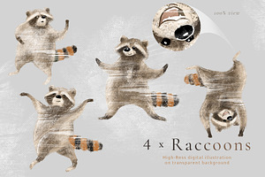 Pumpkins & Raccoons Graphic Set