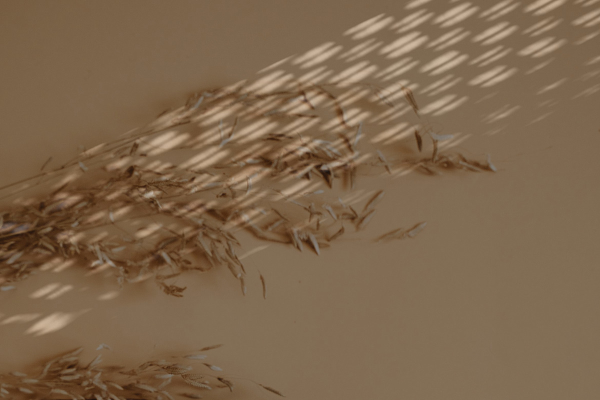Natural Shadow Zen Overlays, a Texture Graphic by Feather & Sage Design (Photo 9 of 14)