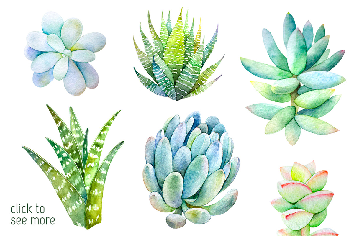 Succulents watercolor set, an Illustration by Green_leaf_17 (Photo 2 of 4)