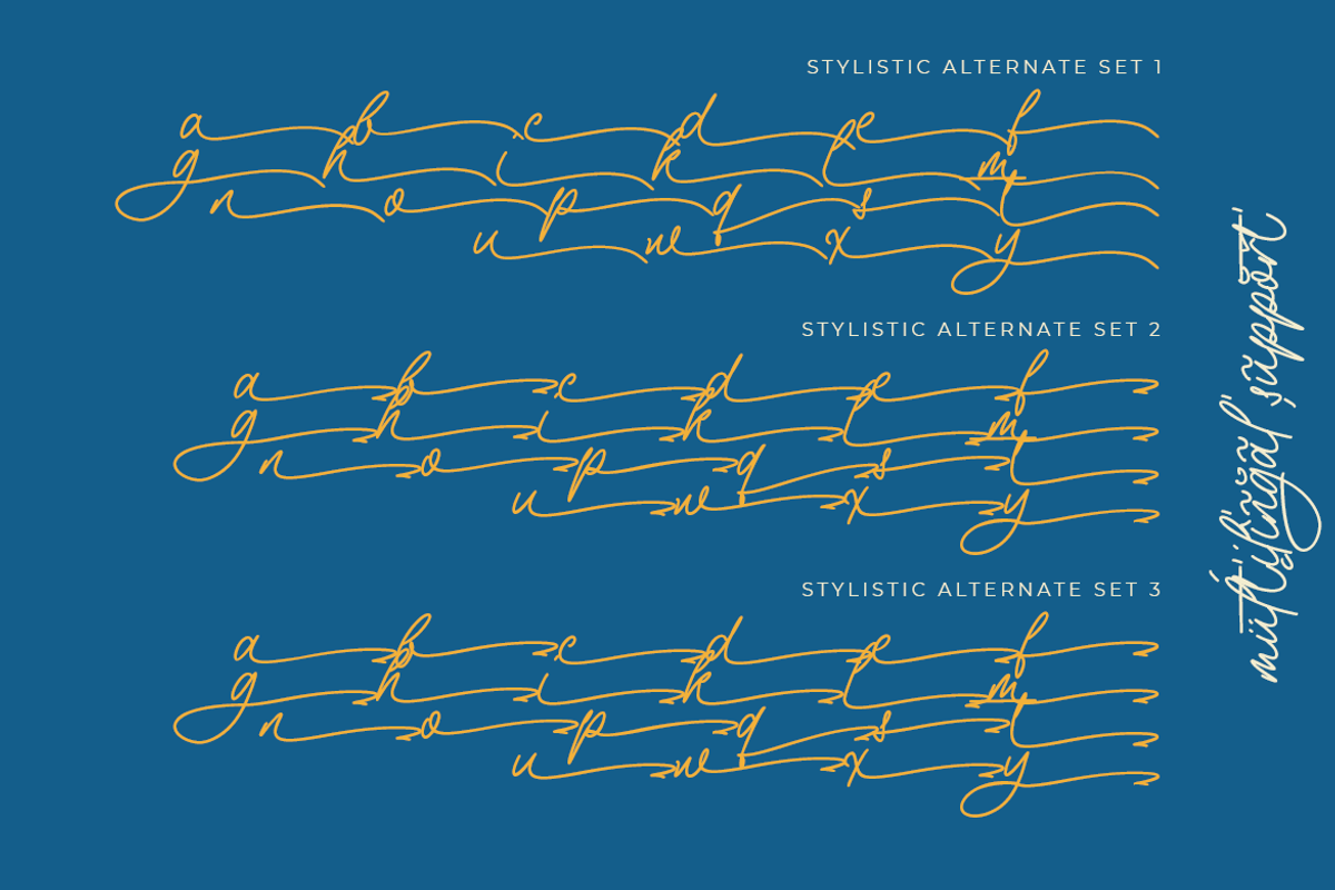 The Philosopher Script Monoline, a Script Font by Colllab Studio (Photo 9 of 18)