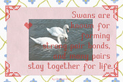 APRIL THREAD - Cross-Stitch Font, a Serif Font by alenaganzhela (Thumbnail 6 of 9)