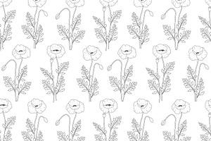 Poppies Flowers Graphics Pattern