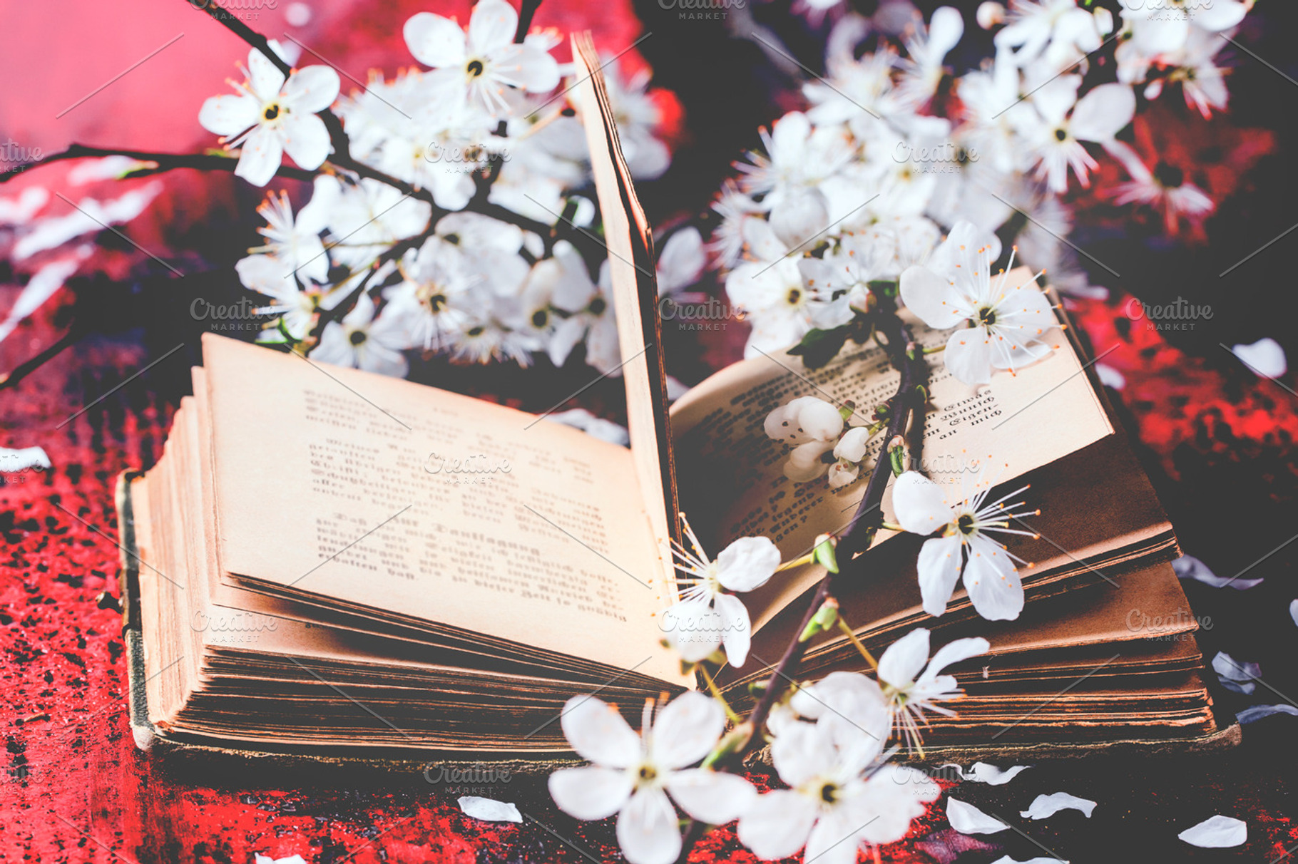 Vintage Bible With Blossom Branch Featuring Book Old And Table