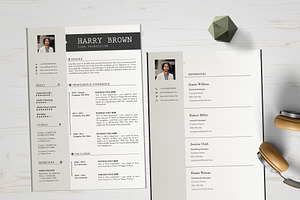 Professional Cv Design Template