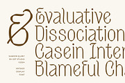 Sharon Elany, a Sans Serif Font by Get Studio (Thumbnail 6 of 27)
