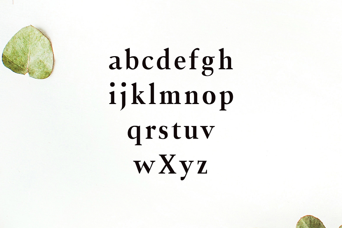 Jerrick Serif 6 Font Pack preview 2