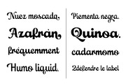 Leftis, a Script Font by Naksatra (Thumbnail 4 of 14)