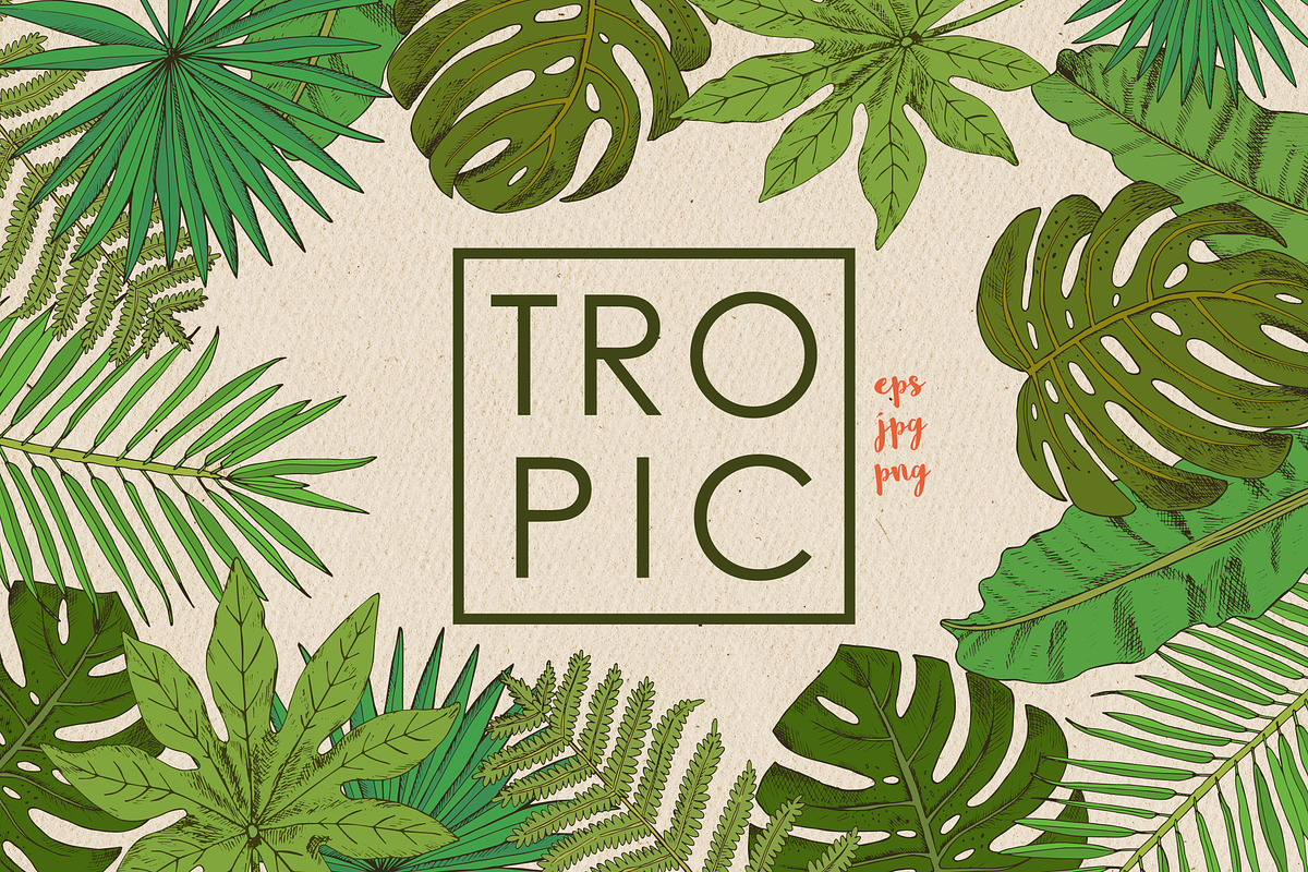 Tropic, an Illustration by Julycolor (Photo 1 of 8)