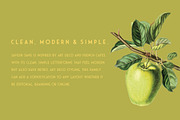 Saveur Sans, a Sans Serif Font by Arkitype (Thumbnail 2 of 15)