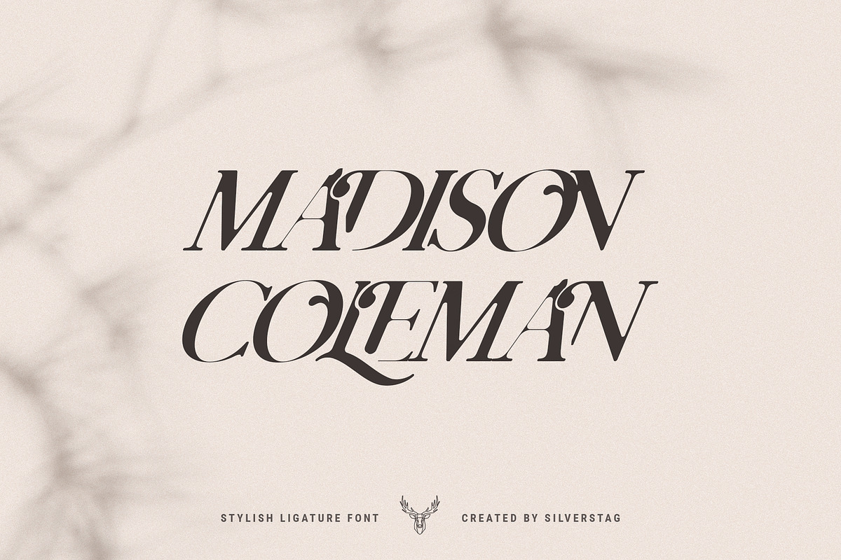 Charles - Ligature Serif Font Family, a Serif Font by SilverStag Type Foundry (Photo 17 of 32)