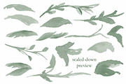 Botanical Brush Collection, a Brush Add-On by Chelsea Bromley (Thumbnail 2 of 4)