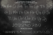 Birthday Thanksgiving, a Handwritten Font by FreshTypeINK (Thumbnail 5 of 9)