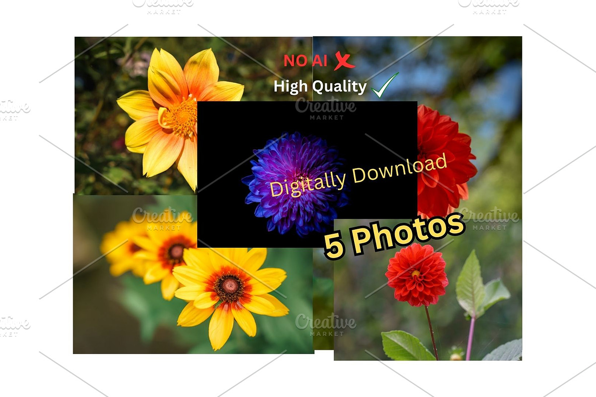 Colorful Garden Flower Photo Bundle, a Nature Photo by Silent Nature (Photo 1 of 6)