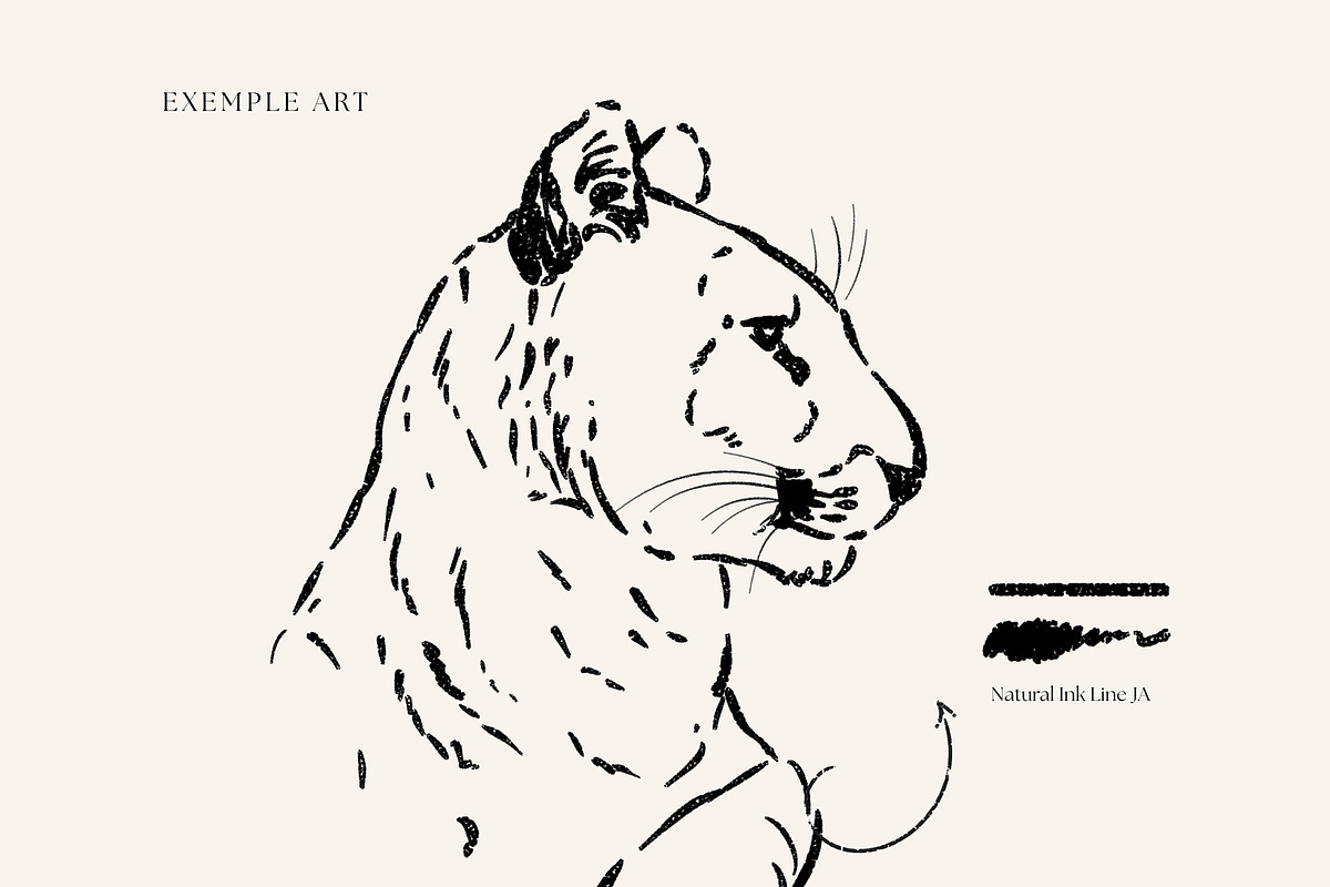 Photoshop Ink Brushes, a Brush Add-On by Jenteva Art (Photo 9 of 12)