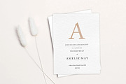 Beige Alphabet Clipart, ABCs, PNG, an Illustration by Wild Honey Design Co. (Thumbnail 3 of 3)