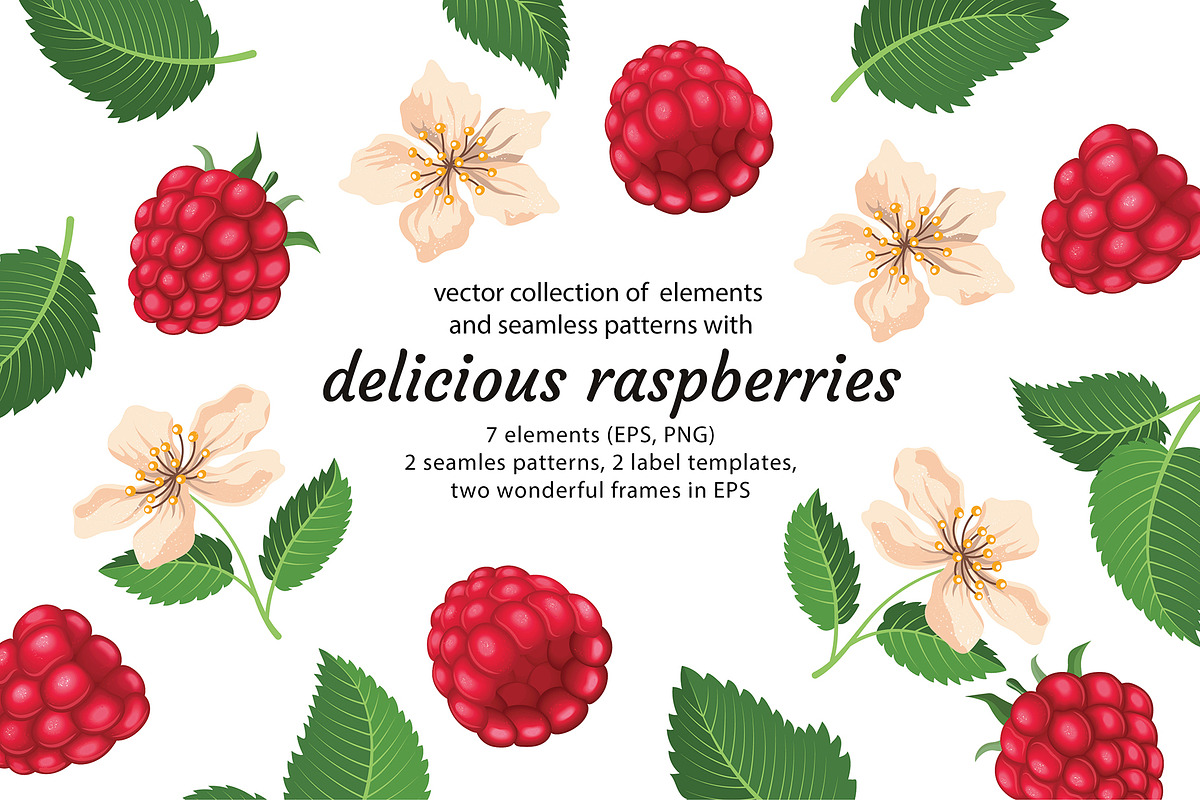 Delicious raspberries vector set, a Graphic by natamastery (Photo 1 of 8)
