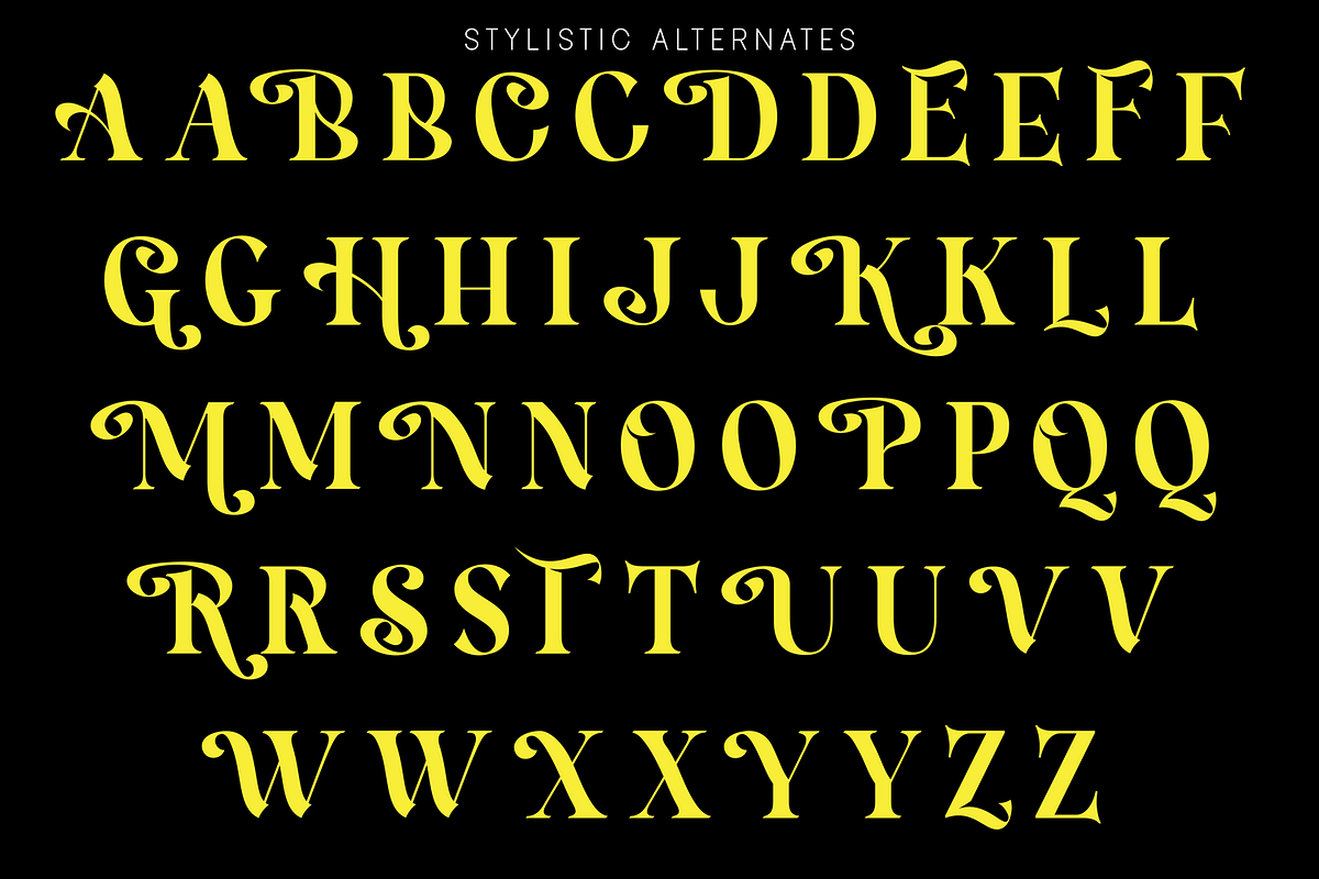 Hamachi Font, a Serif Font by 177Studio (Photo 6 of 8)