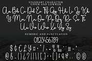 Winderlust, a Handwritten Font by FreshTypeINK (Thumbnail 8 of 8)