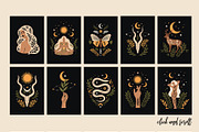Dark Magic Forest Graphics Set, an Animal Illustration by Katerina Osa (Thumbnail 11 of 12)