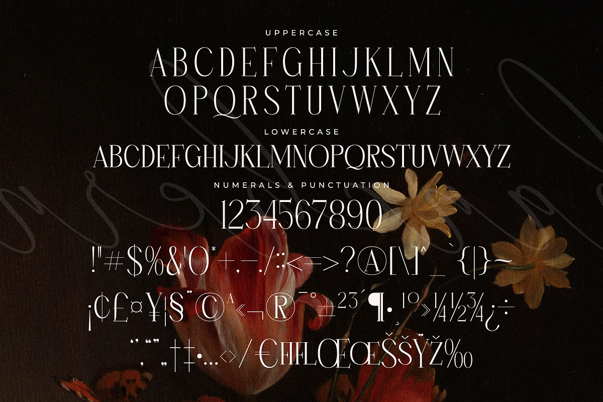 Hanchern Display Serif Font, a Serif Font by Storytype Studio (Photo 13 of 15)
