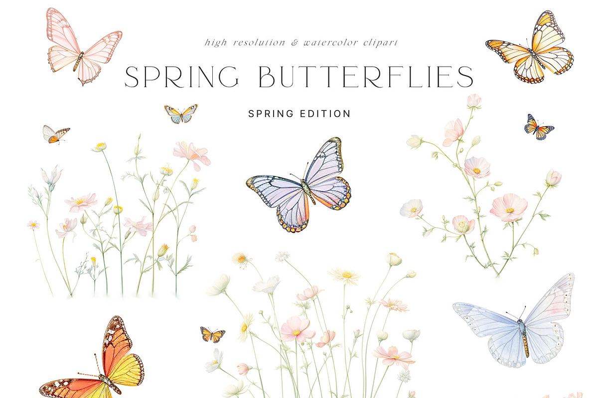 Spring Gardens - Watercolor Edition, an Object Illustration by Isabelle Salem (Photo 9 of 12)