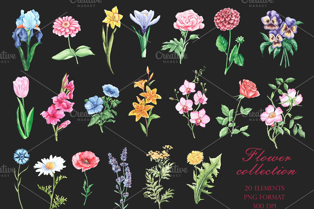 Blooming flowers watercolor clipart., an Illustration by SabinaWatercolorArt (Photo 3 of 8)