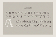 Quirky - Modern Stylish Elegant, a Serif Font by Qweera Studio (Thumbnail 9 of 10)