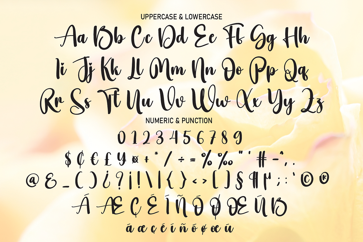 Mild | Script Font, a Script Font by Scratchones (Photo 3 of 8)