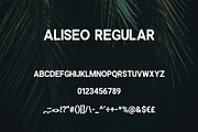 Aliseo Font Family - Sans Serif, a Sans Serif Font by RC graphics (Thumbnail 3 of 8)