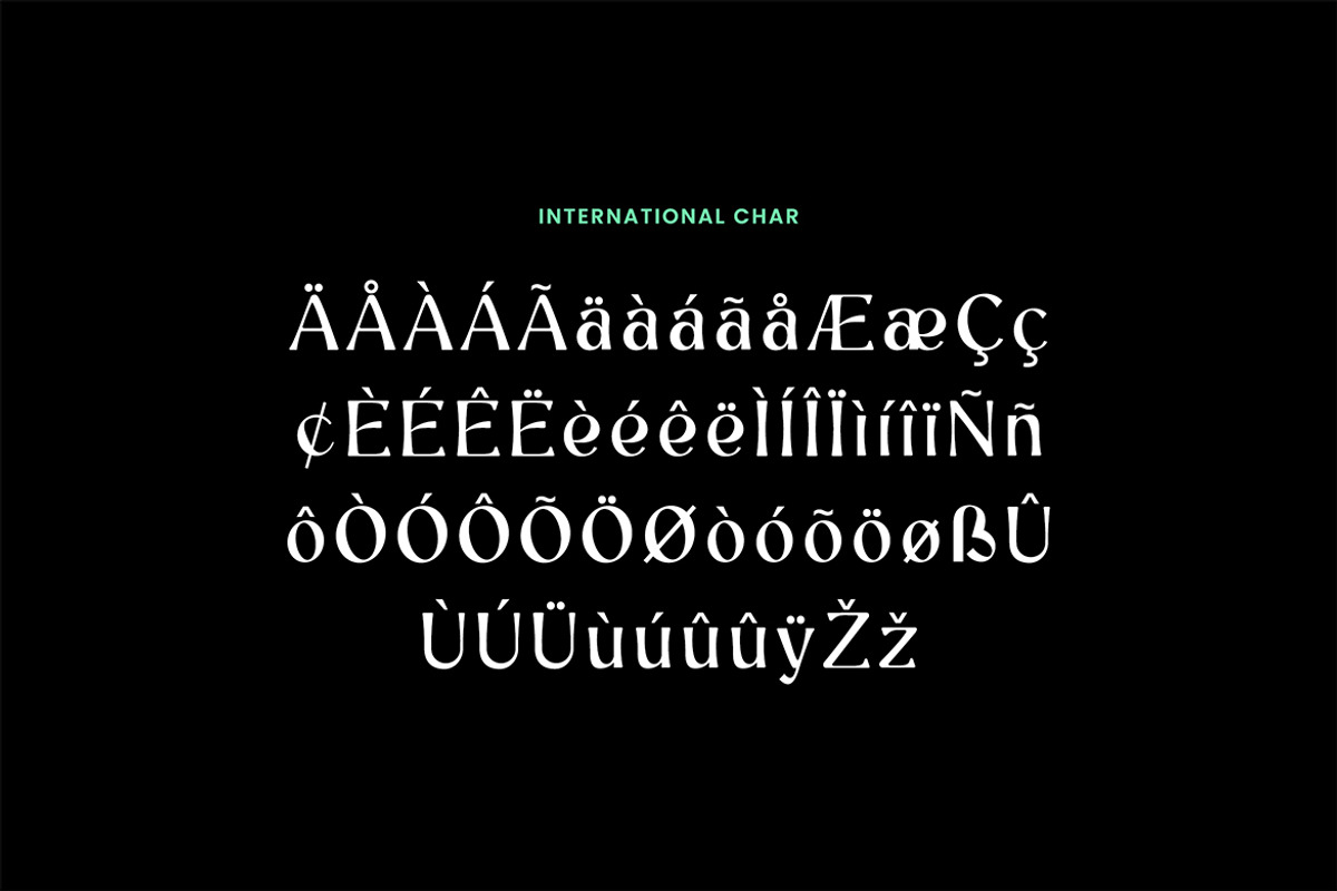 Palaestra Modern Display Serif Font, a Serif Font by UICreative (Photo 10 of 13)