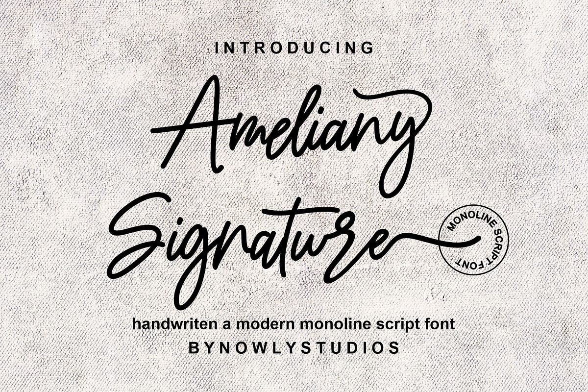 Ameliany Signature, a Script Font by Nowlystudios (Photo 1 of 8)