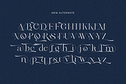 Klyra, a Serif Font by zaaintype (Thumbnail 7 of 10)